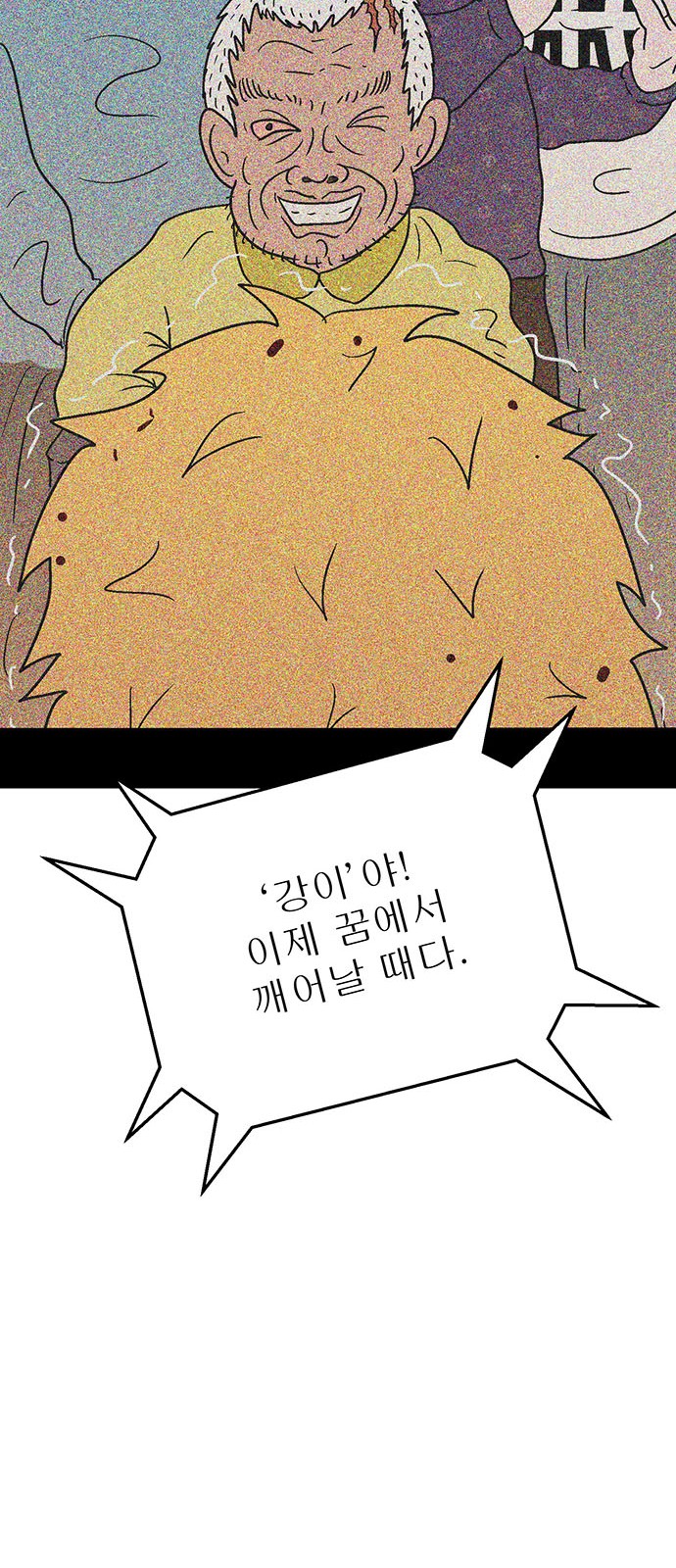38 페이지