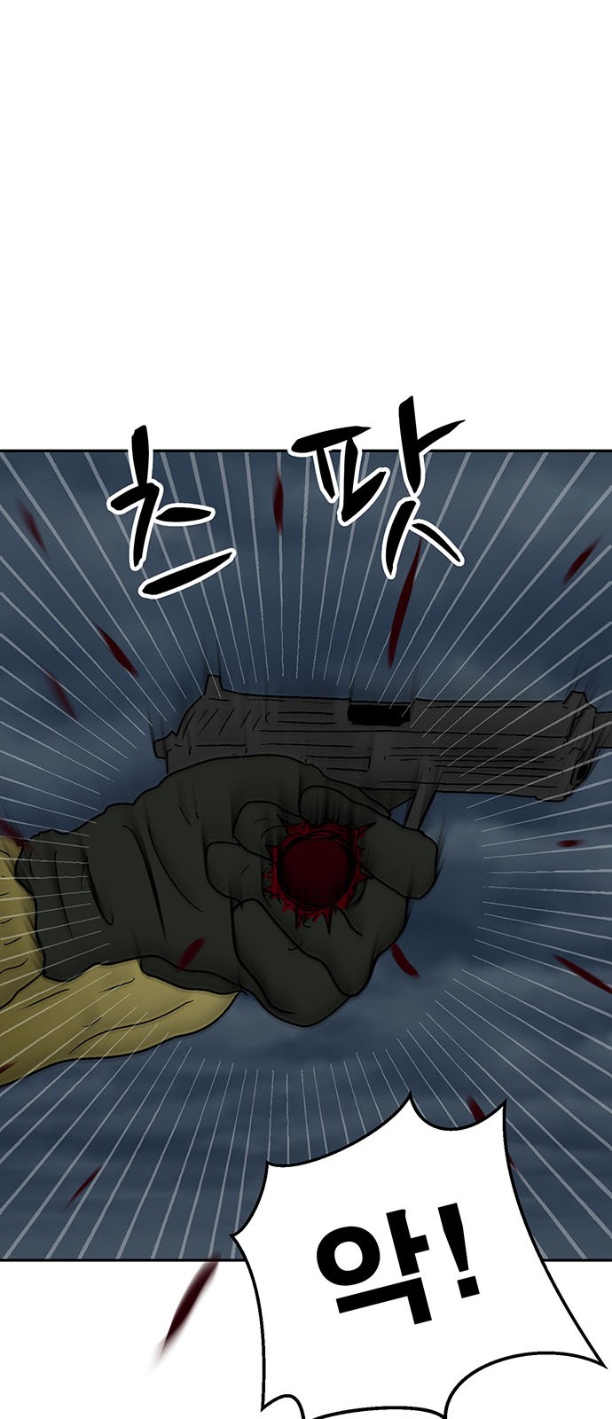 66 페이지