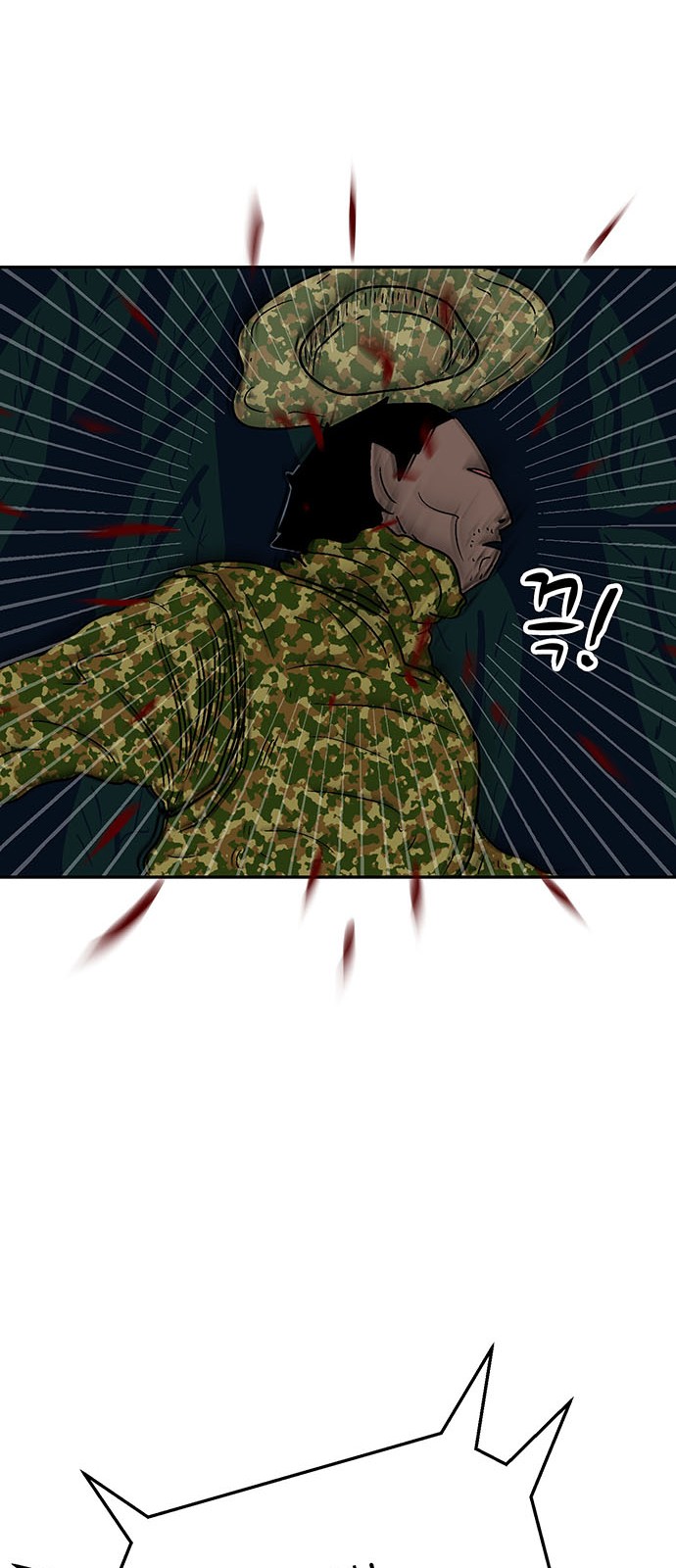 25 페이지