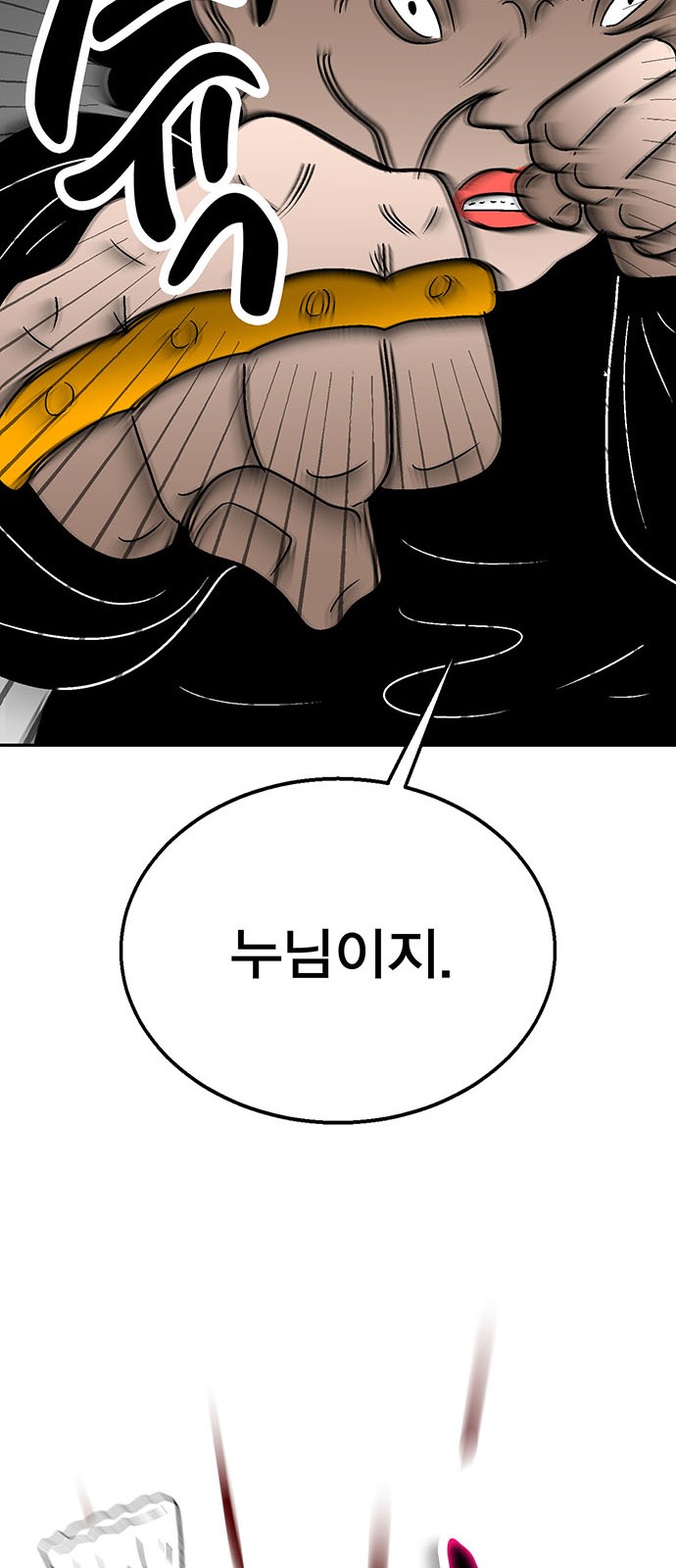 110 페이지