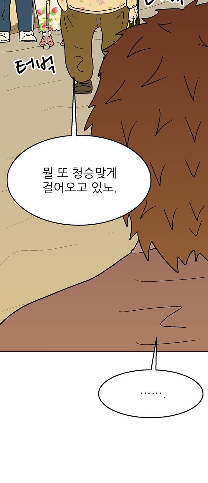 66 페이지