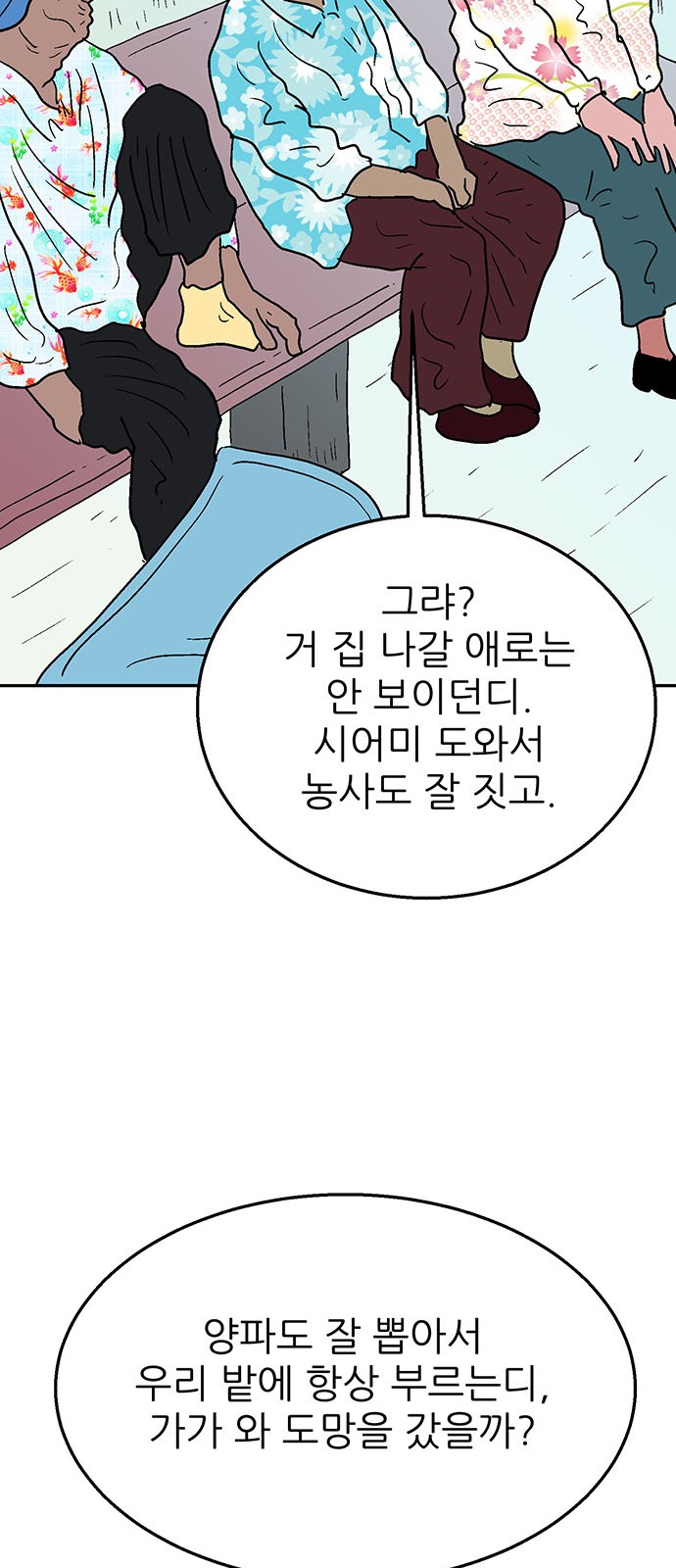 61 페이지