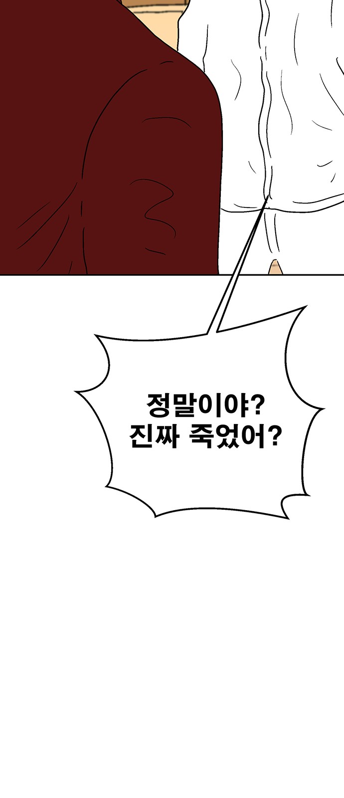 66 페이지