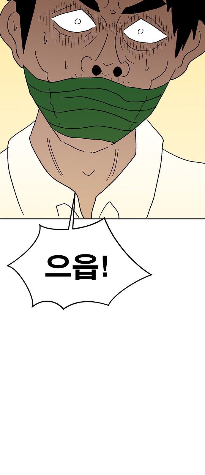 66 페이지