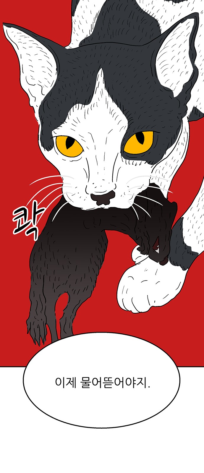88 페이지