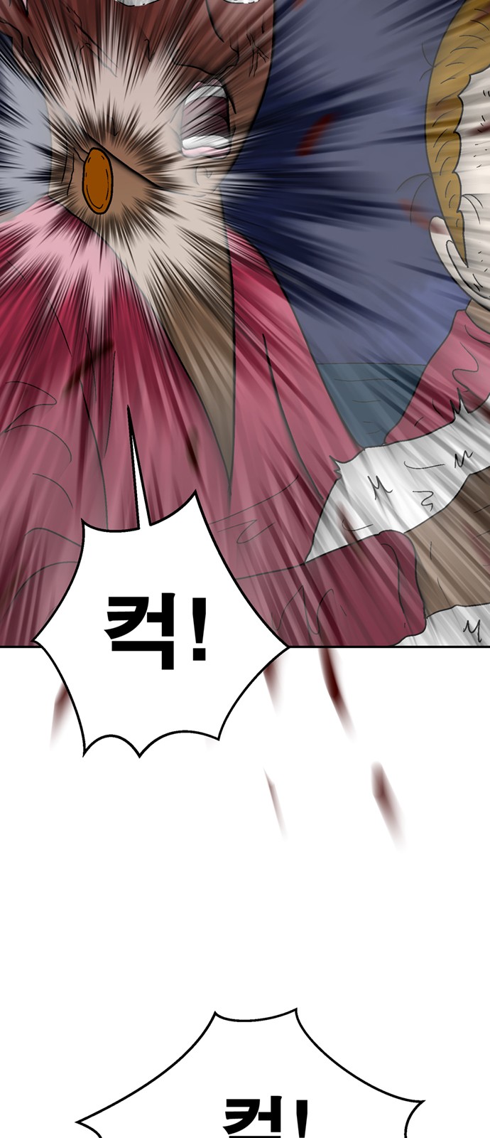 110 페이지