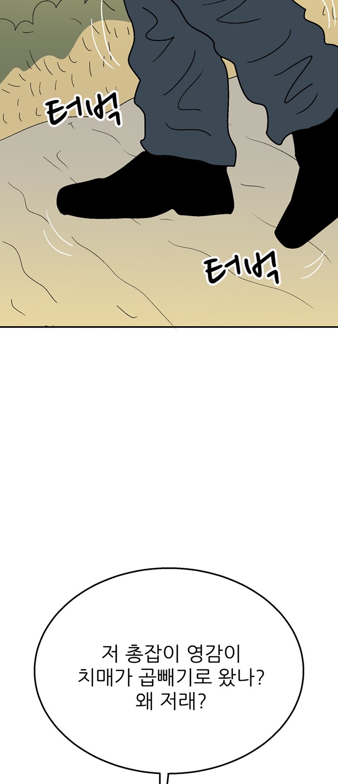 55 페이지