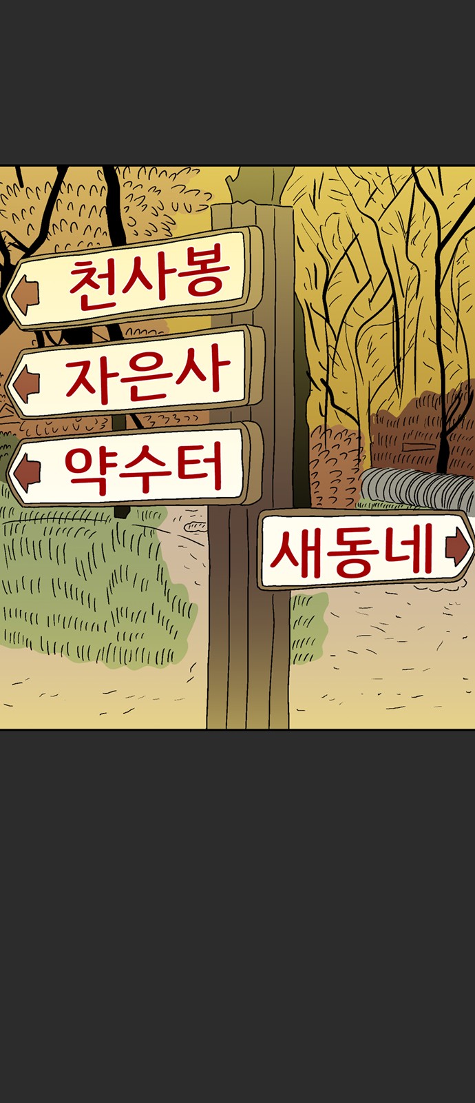 43 페이지