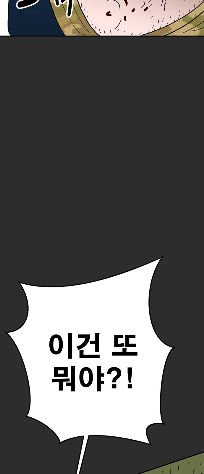113 페이지