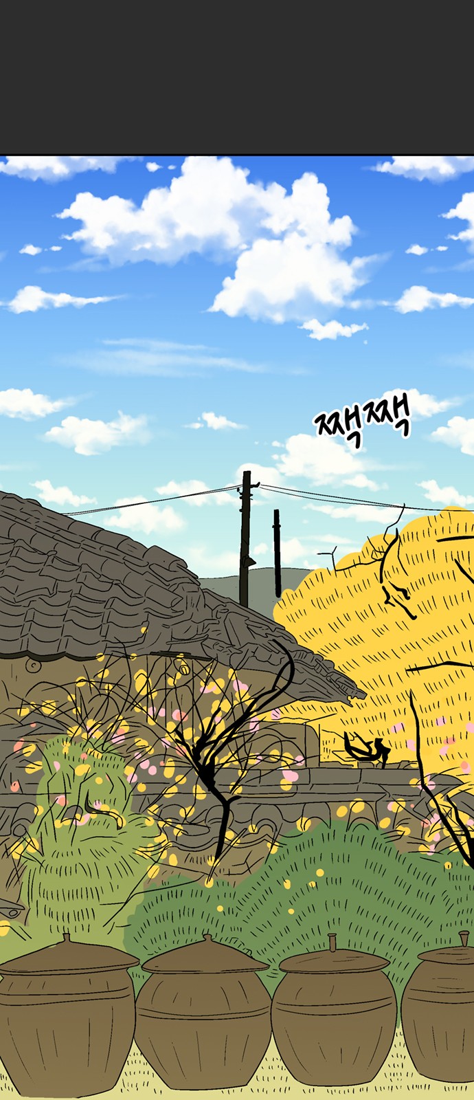 77 페이지