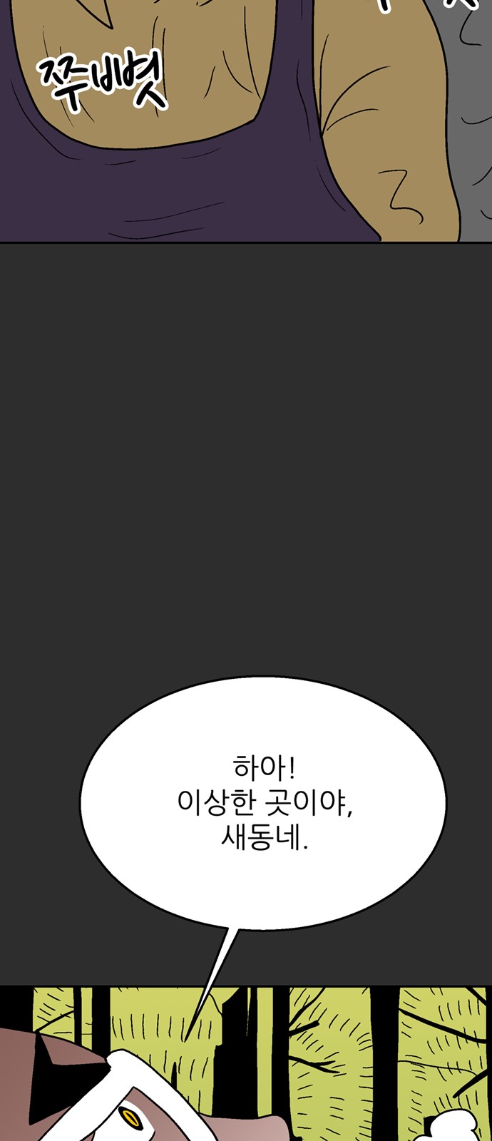55 페이지