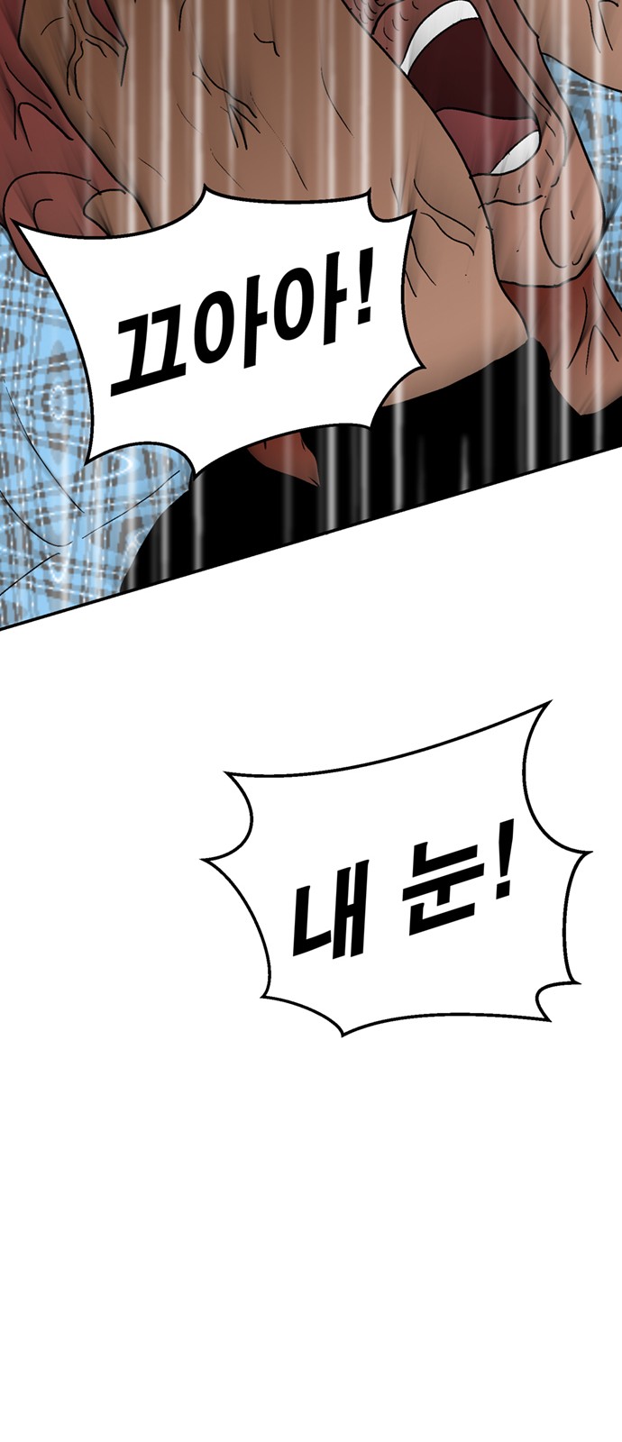 117 페이지