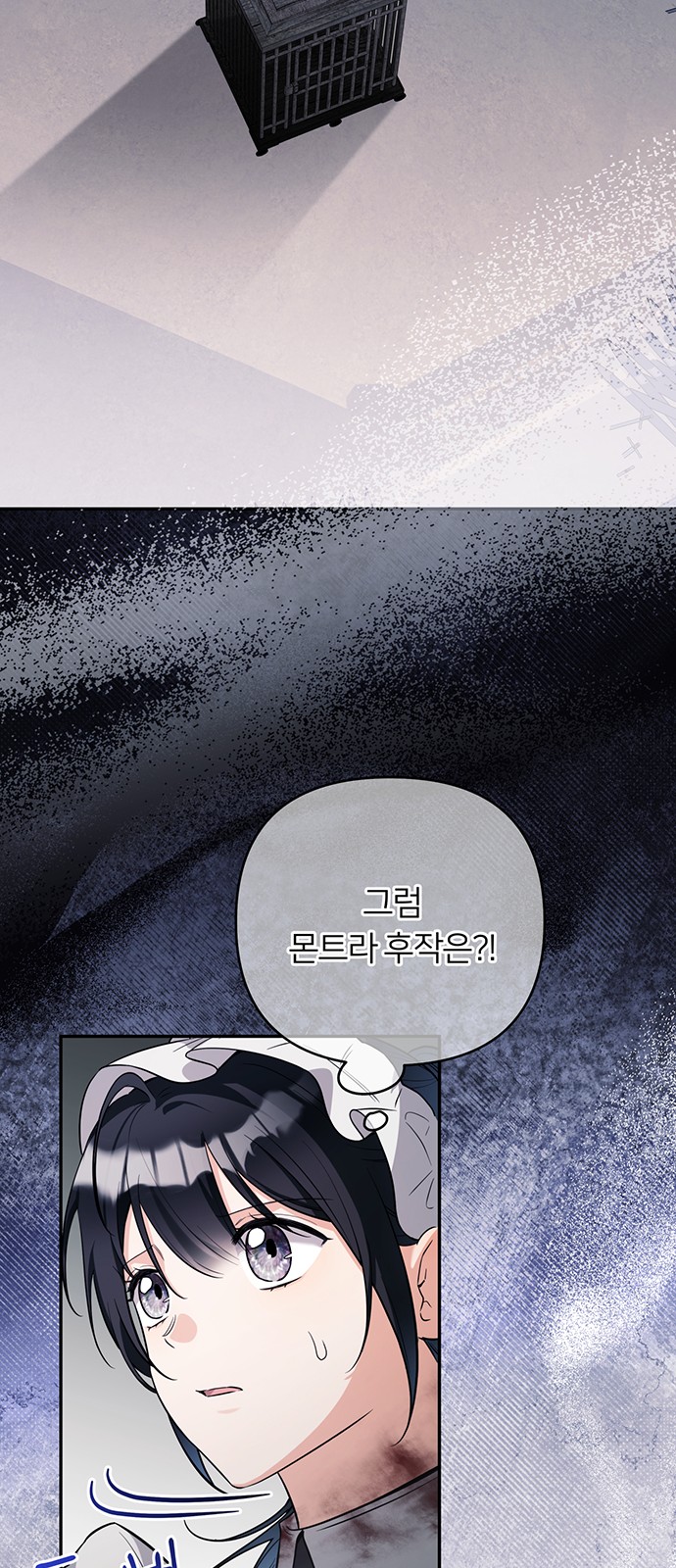 49 페이지