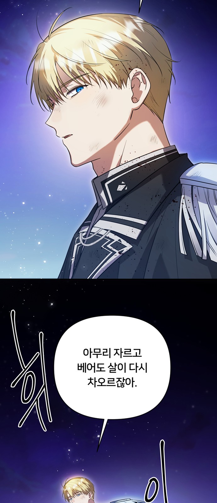 71 페이지