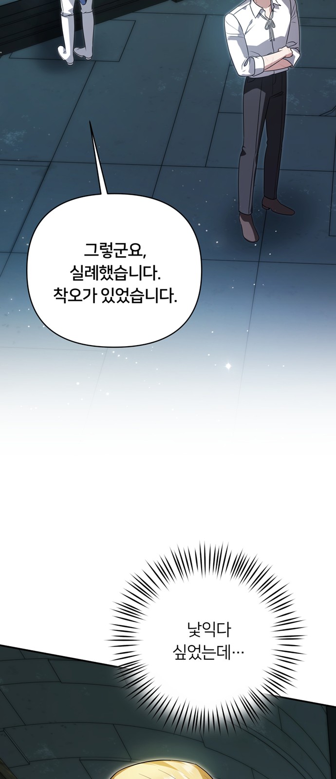 48 페이지