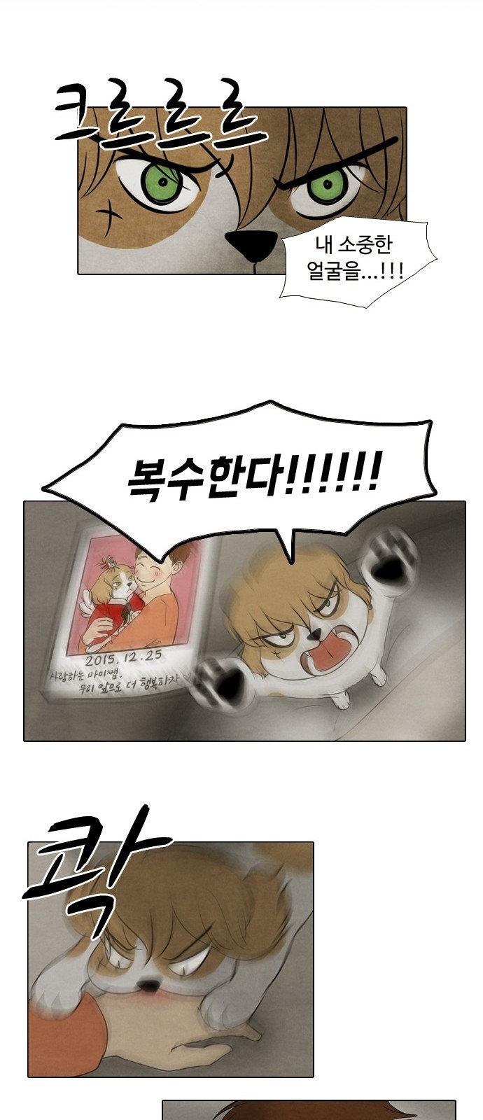 25 페이지