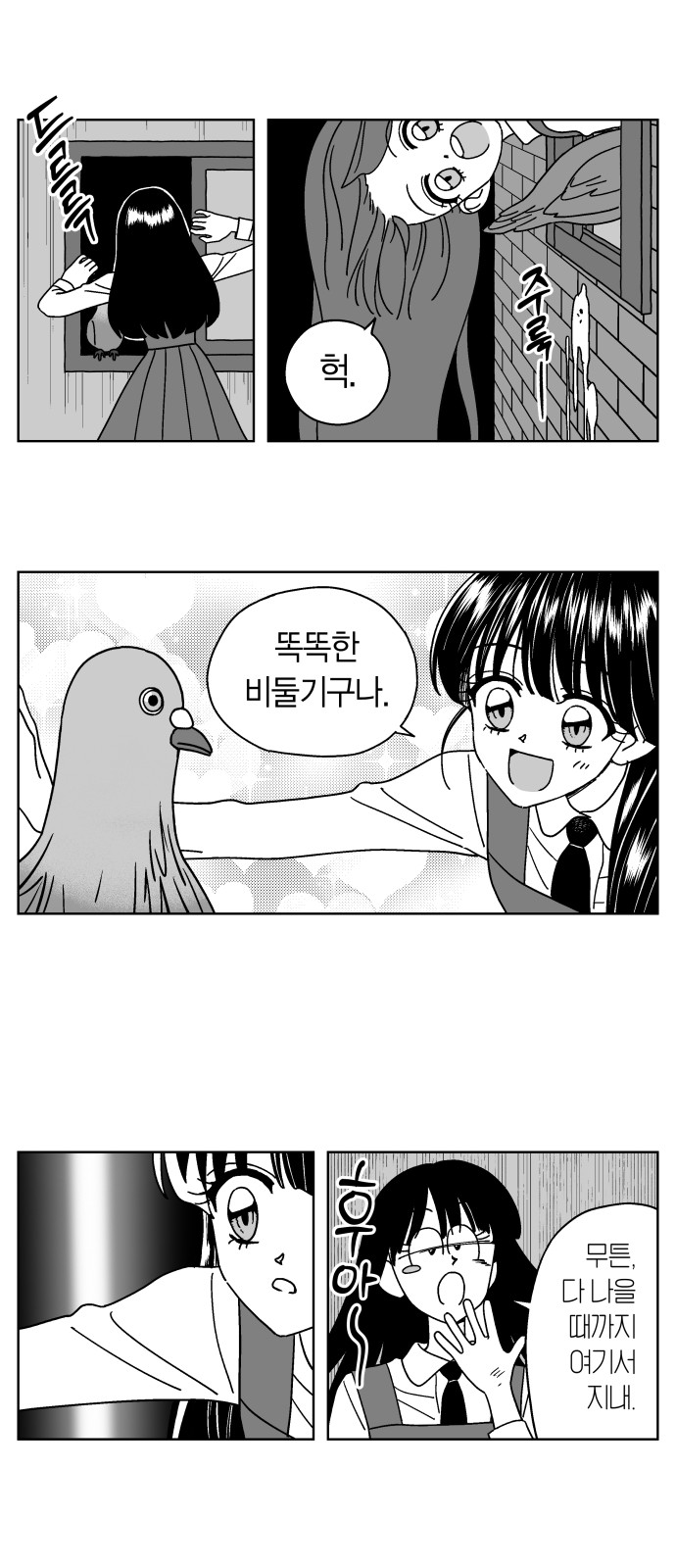 20 페이지