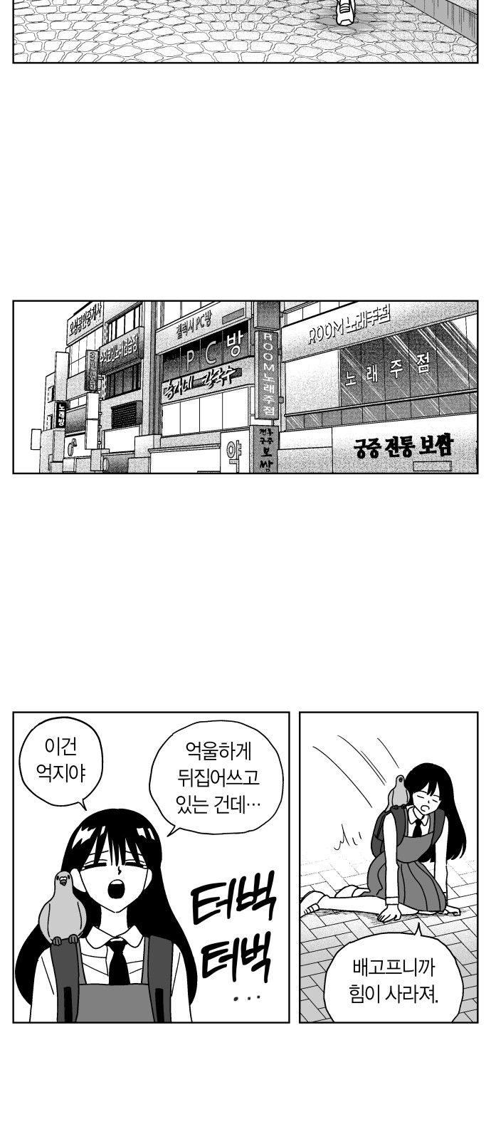 12 페이지