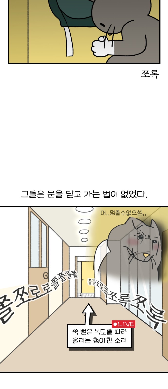 9 페이지