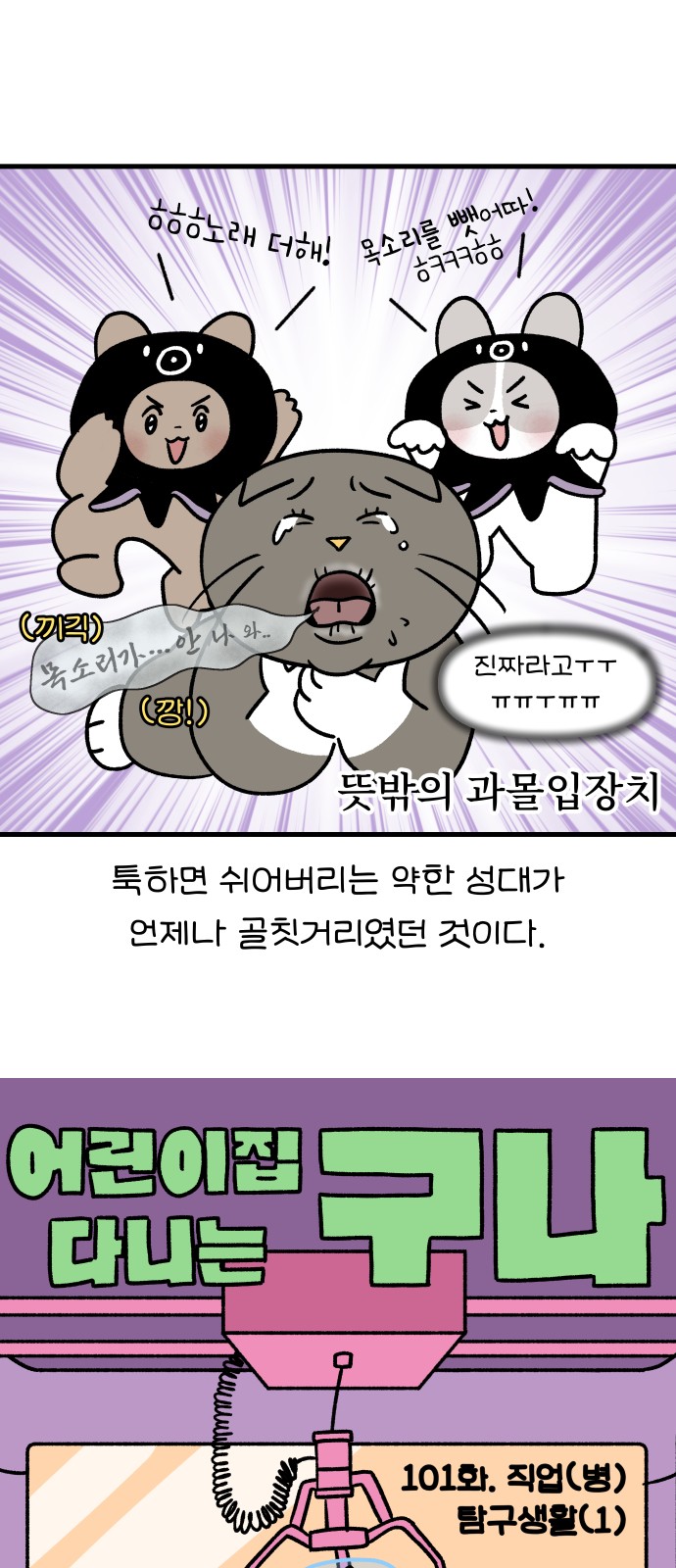5 페이지