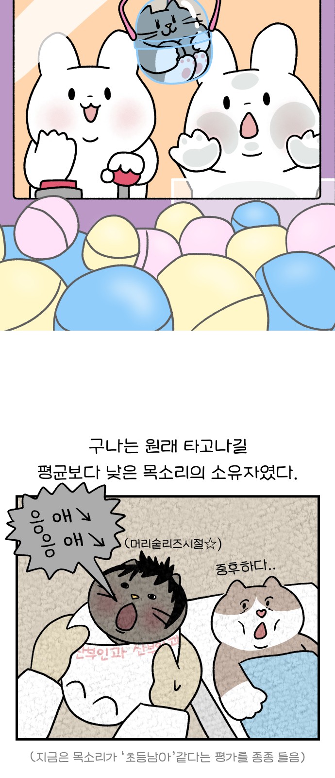 6 페이지