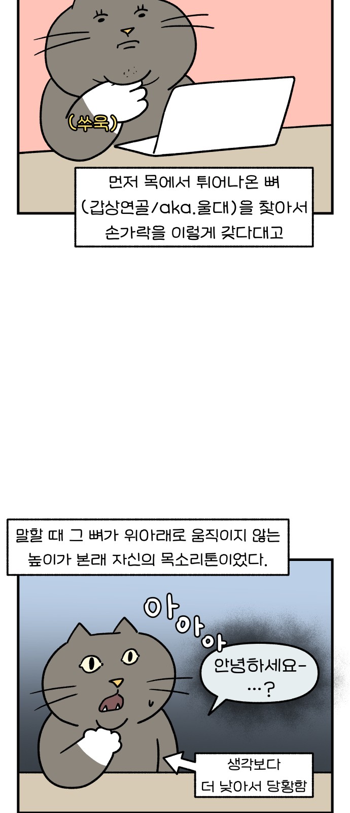 3 페이지