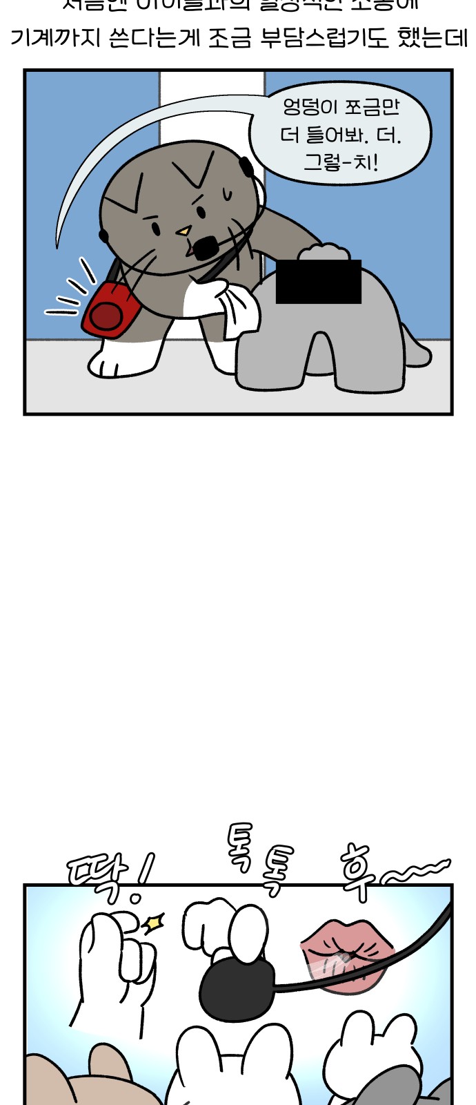 11 페이지