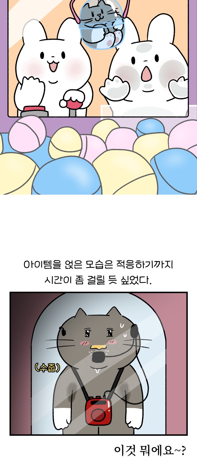 6 페이지