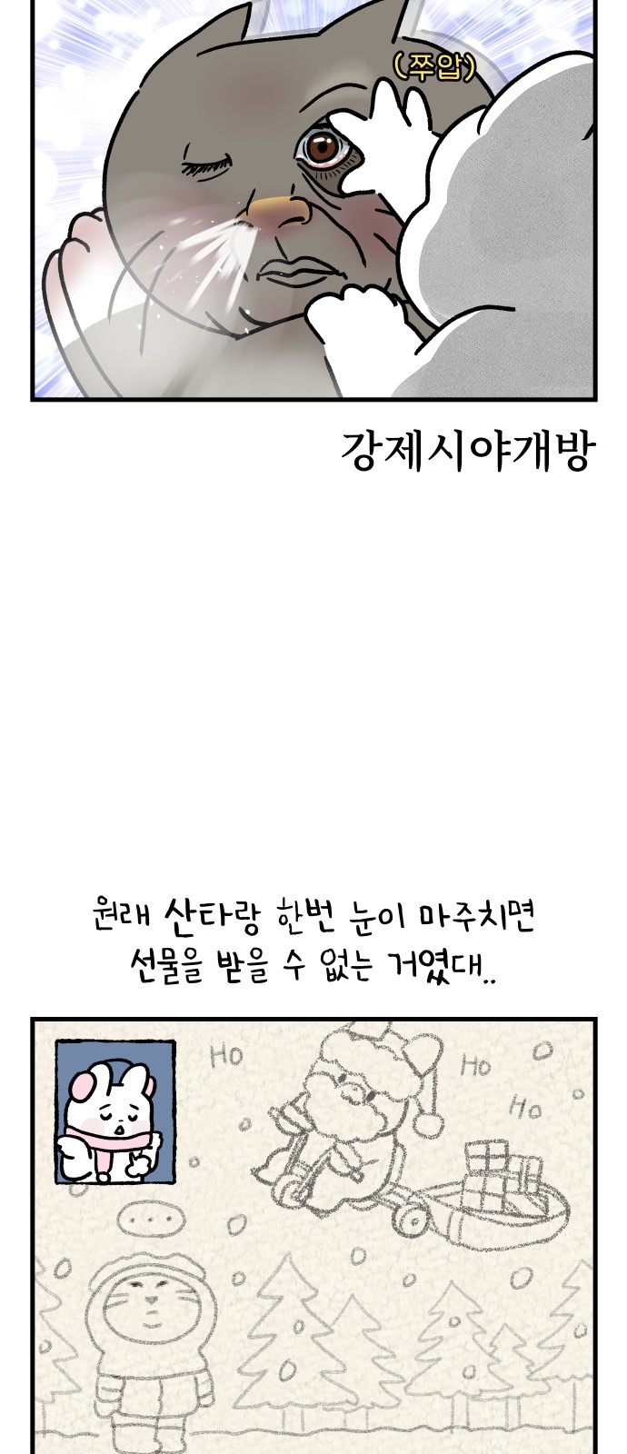 17 페이지