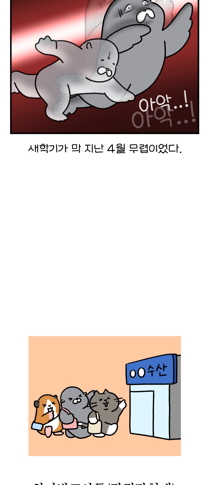 17 페이지