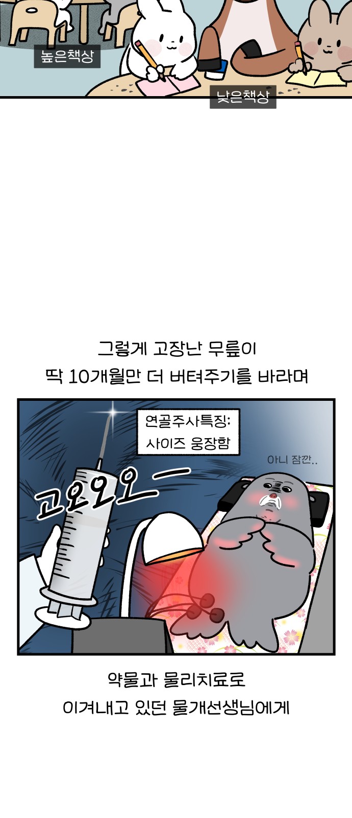 15 페이지