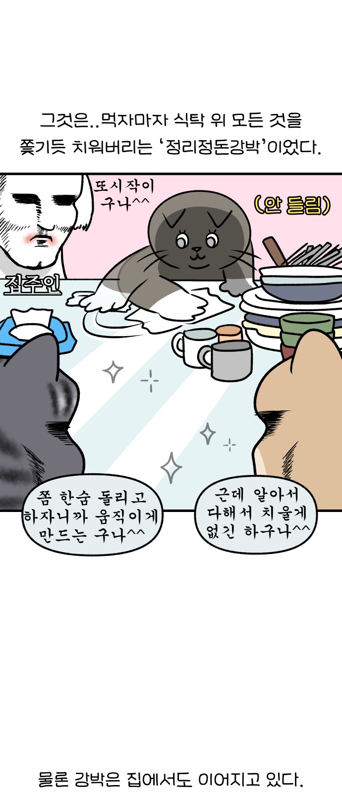 13 페이지