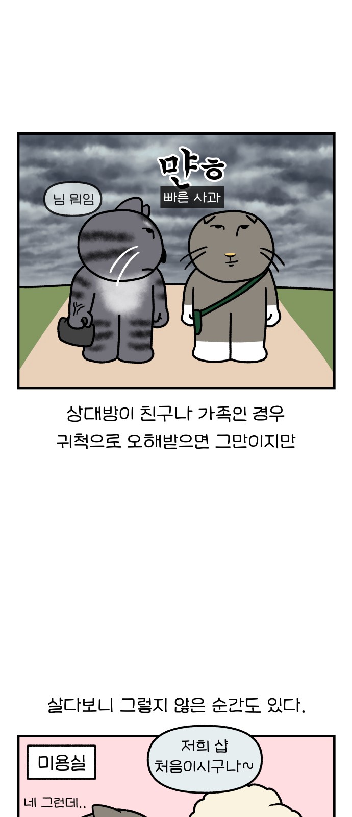 5 페이지