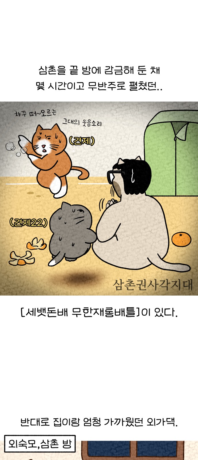 13 페이지