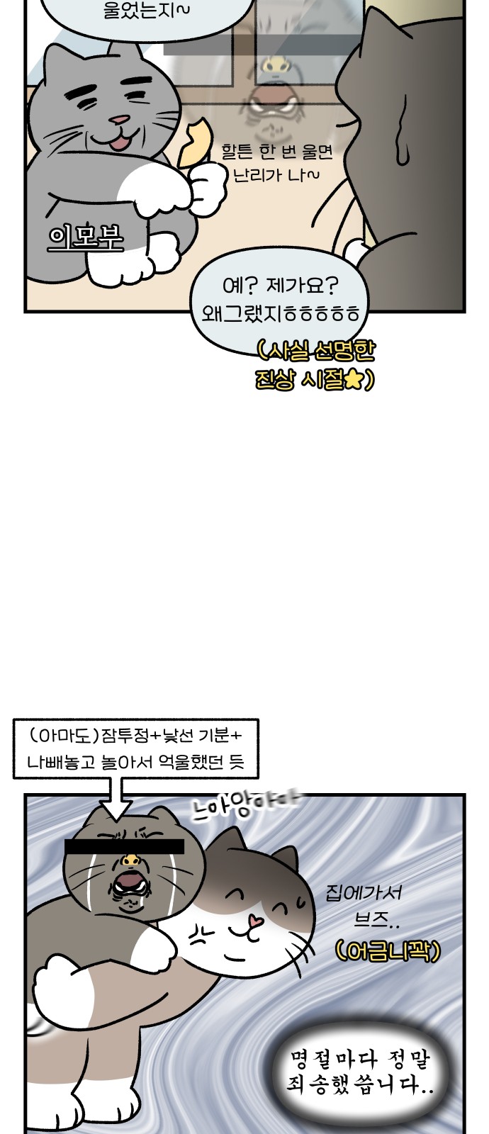 17 페이지