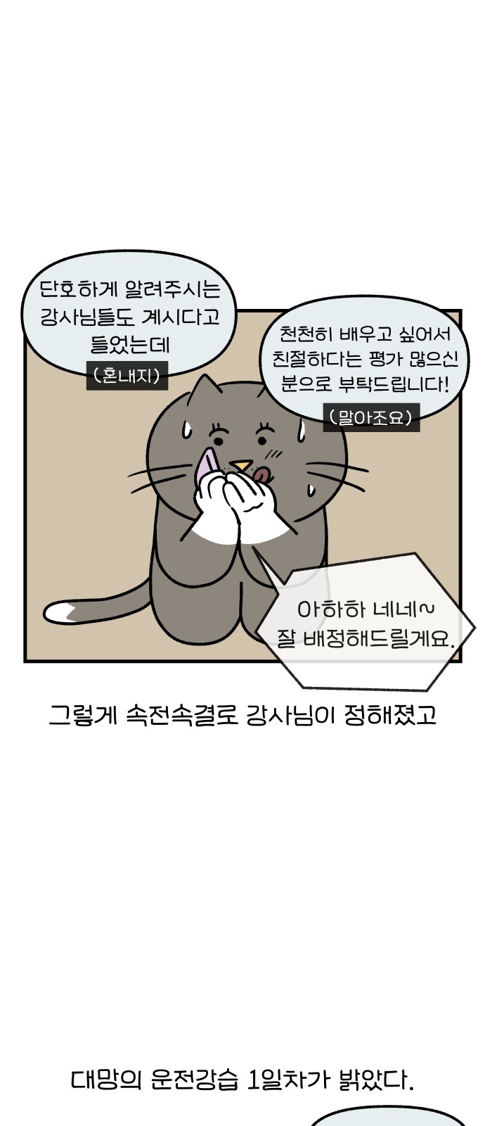 13 페이지