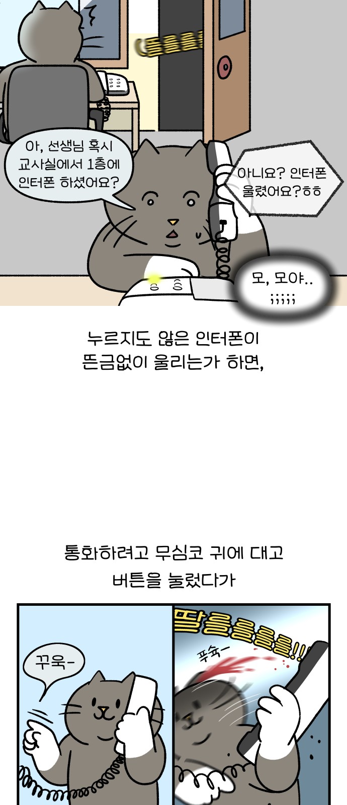 14 페이지