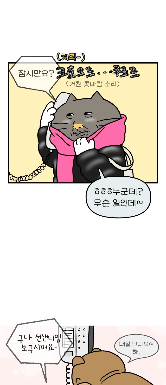 5 페이지
