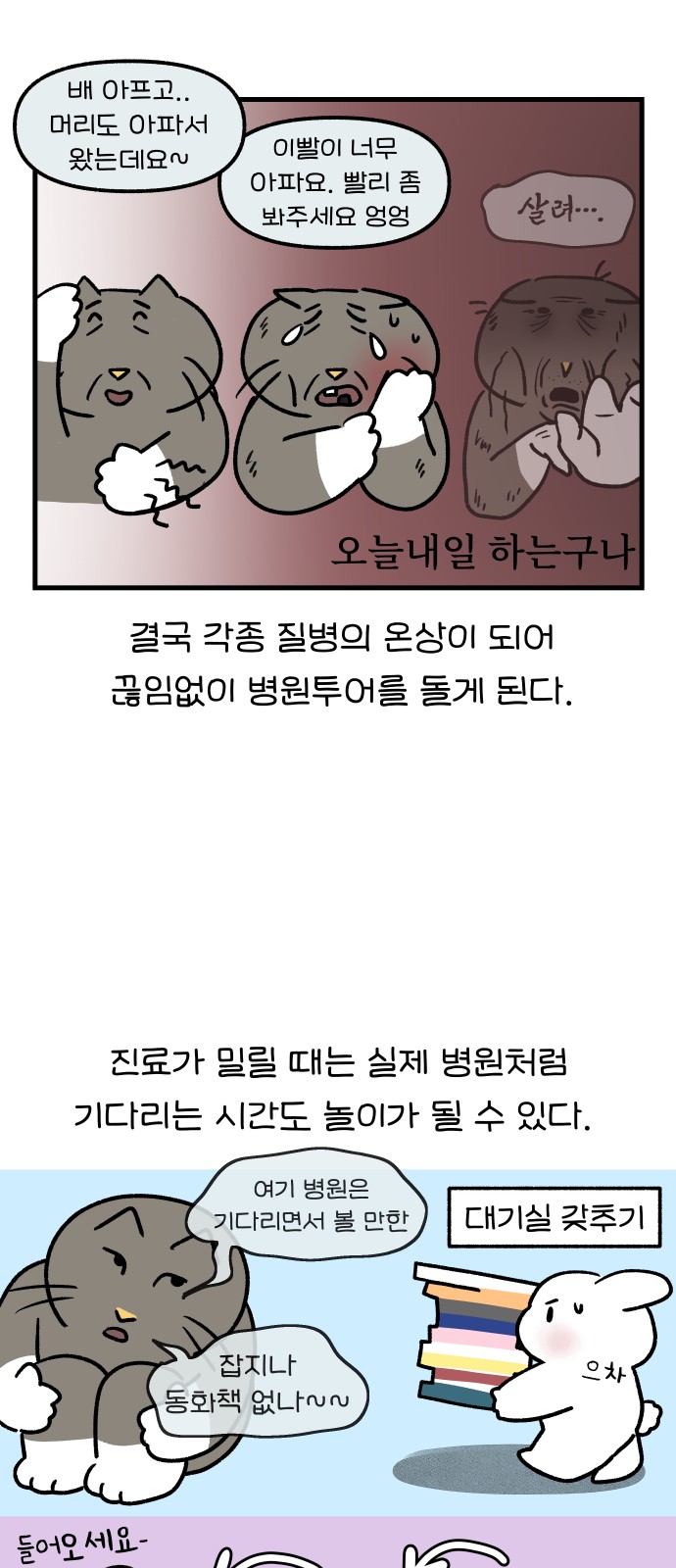 11 페이지