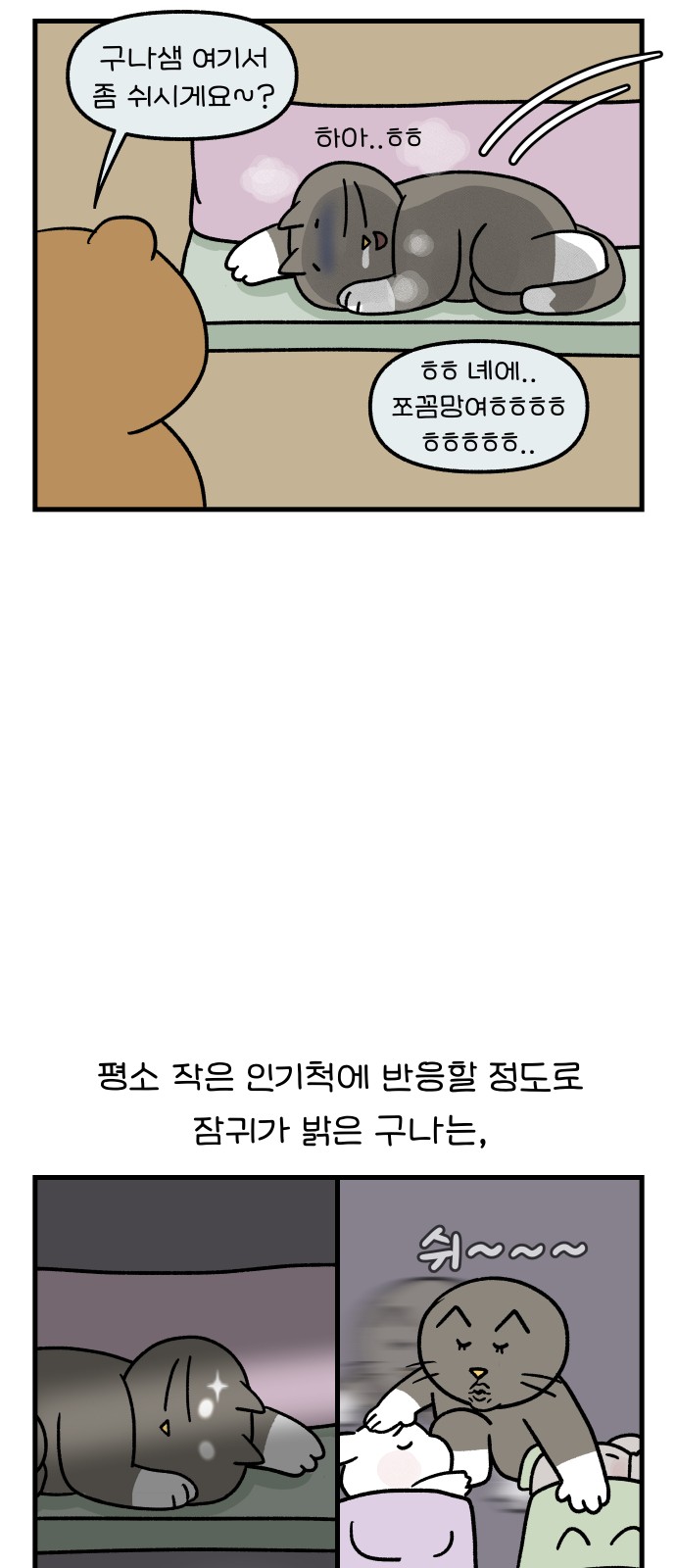 14 페이지