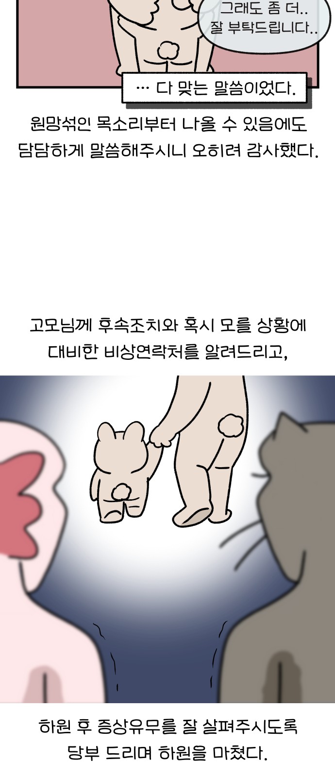 12 페이지