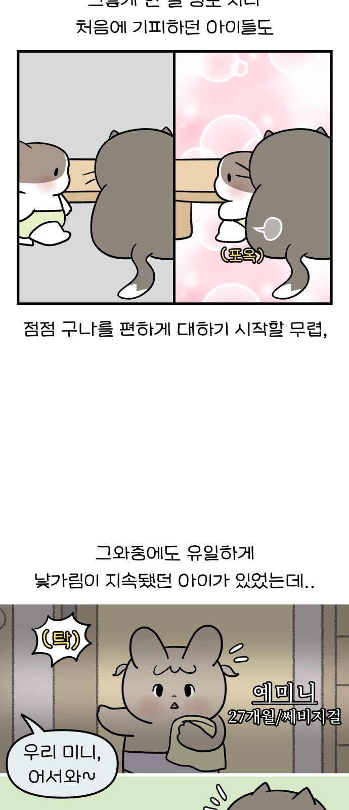 11 페이지