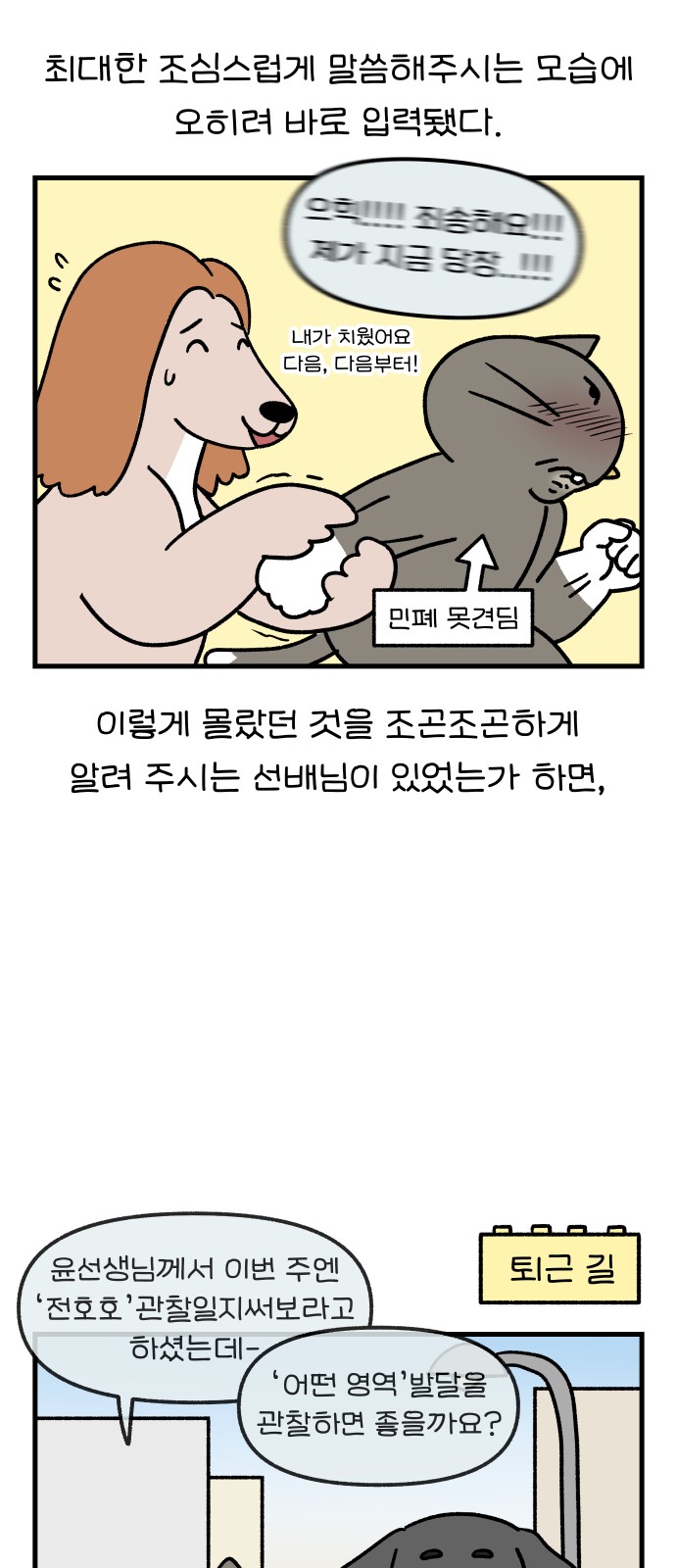 8 페이지
