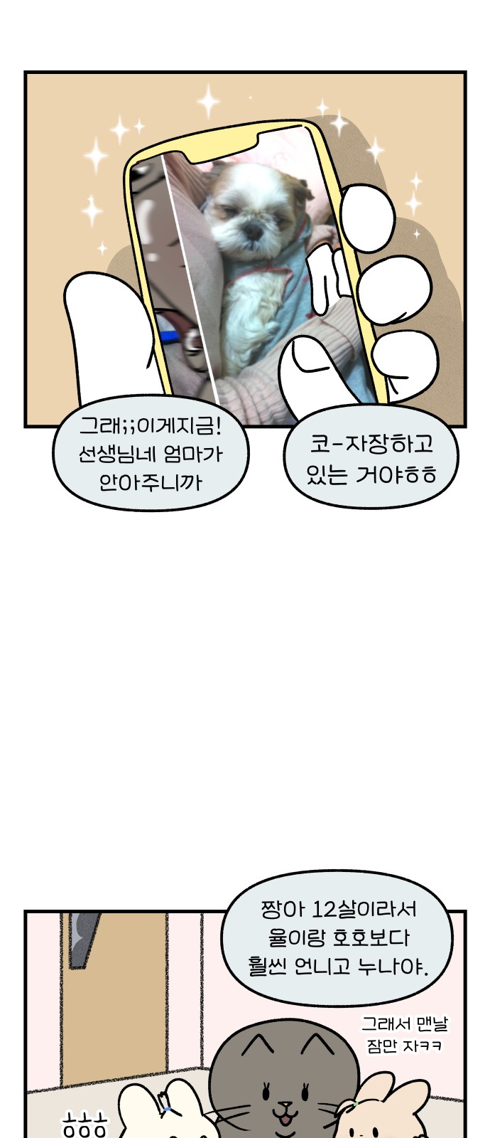 11 페이지