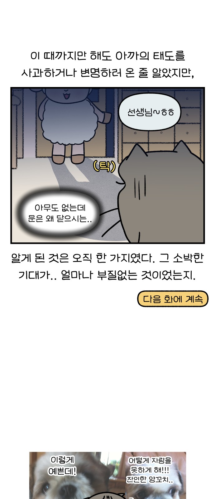 19 페이지