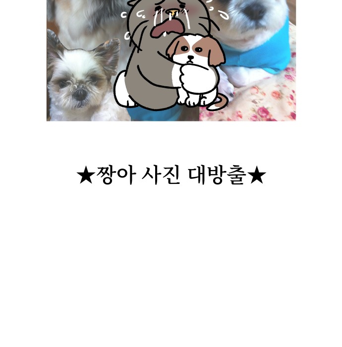 20 페이지