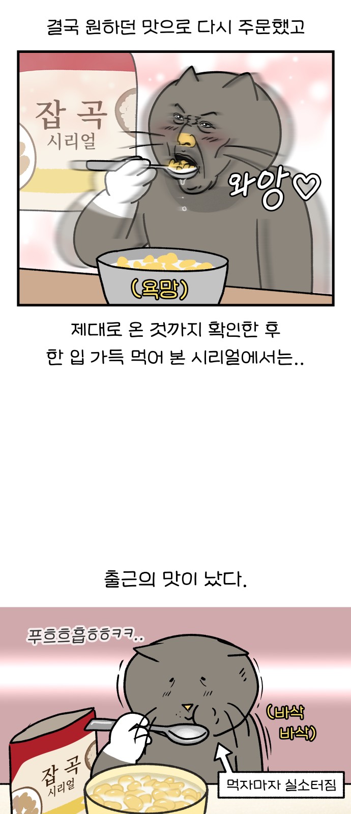 11 페이지