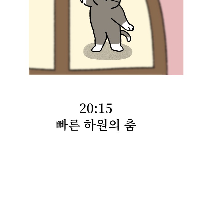20 페이지