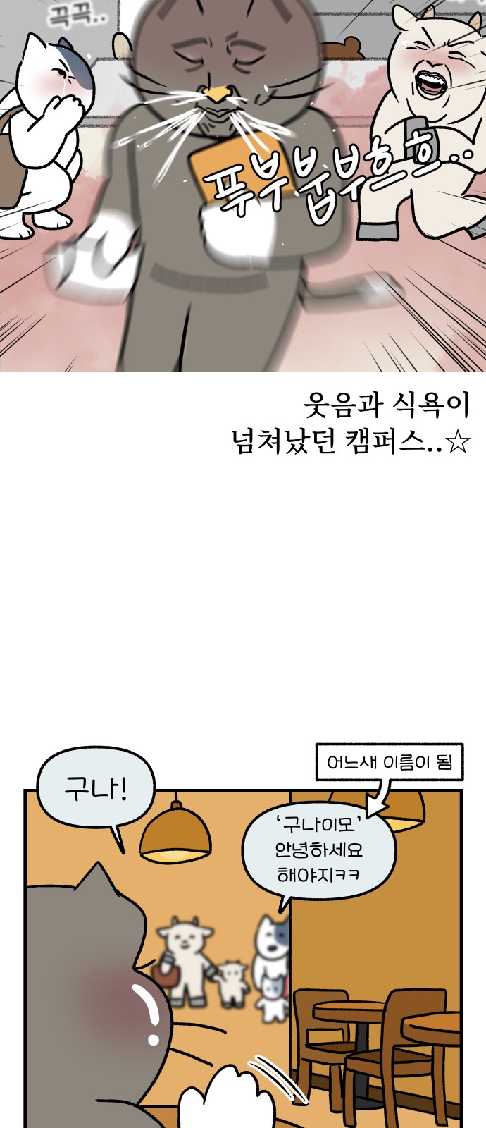 17 페이지