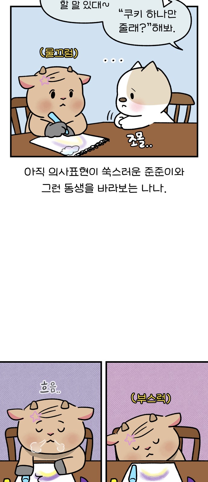 14 페이지